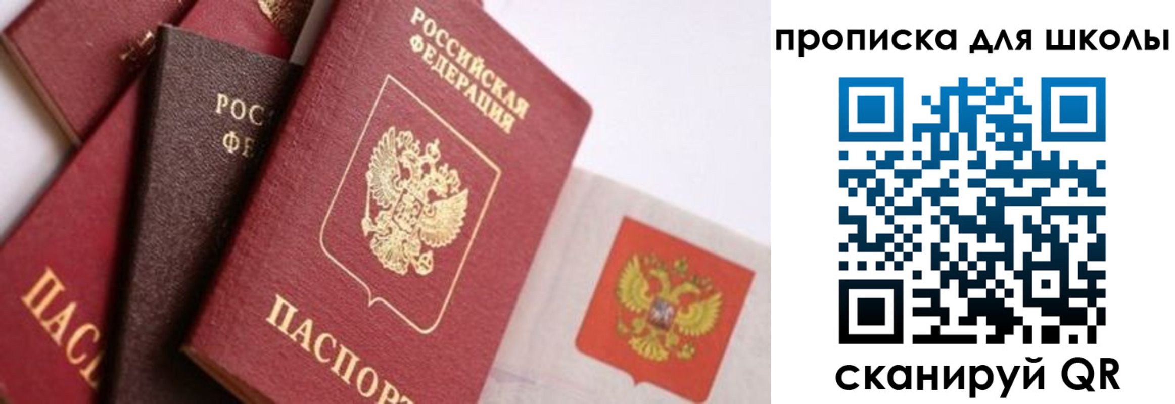 прописка поиск в Ливны